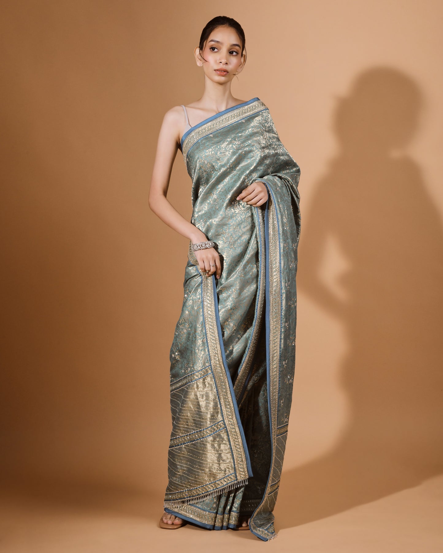 Banarasi Silk Sari