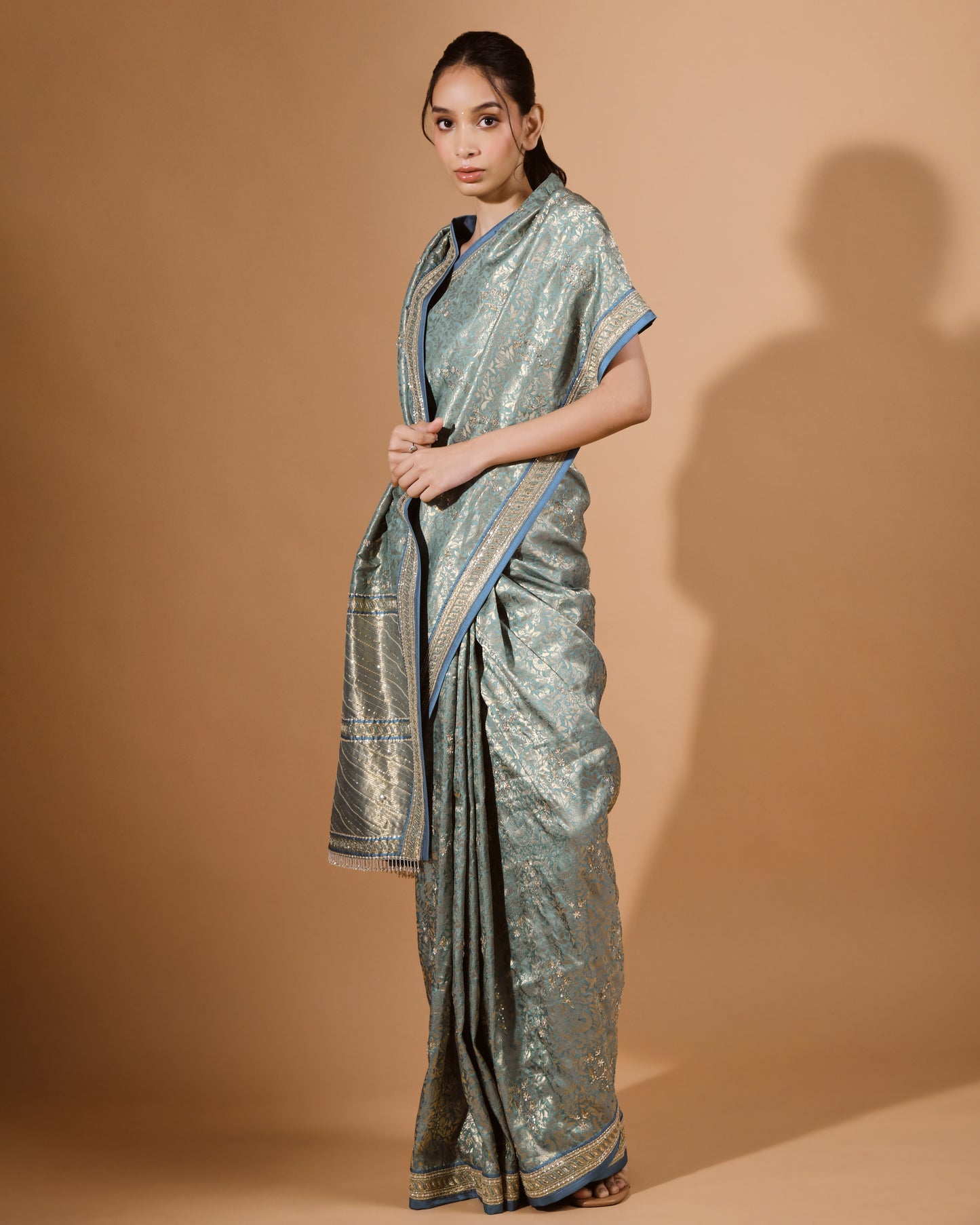 Banarasi Silk Sari