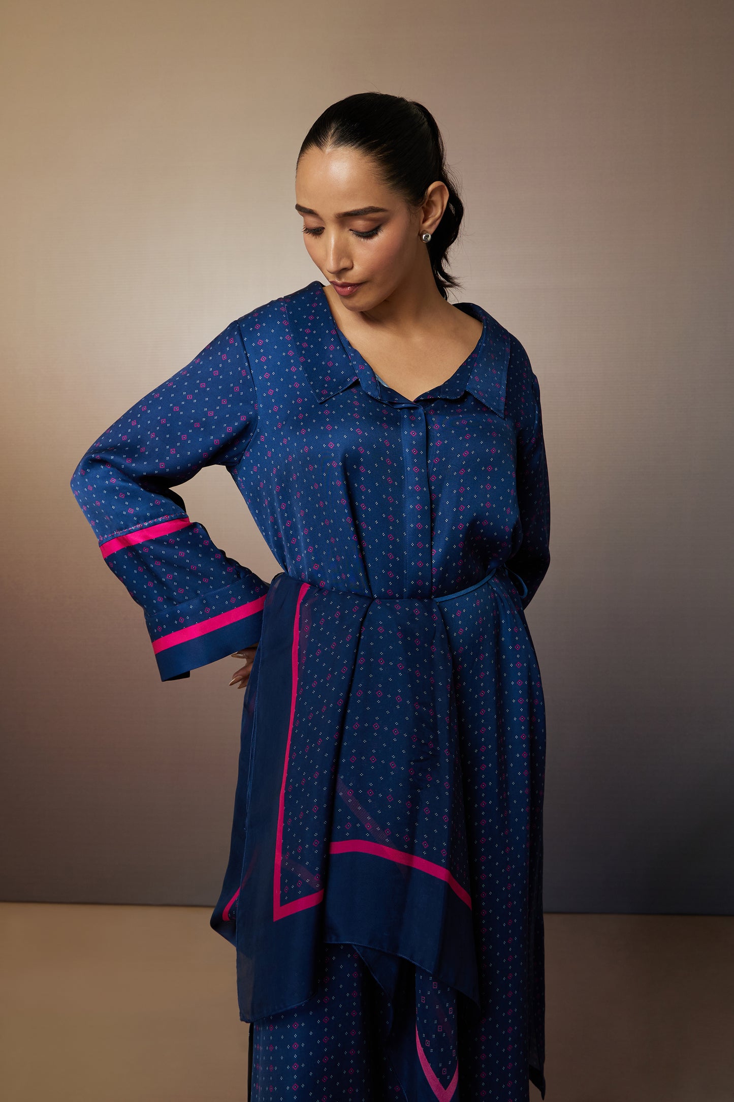 Navy Edit Shirt Dress